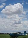 narromine2010 016